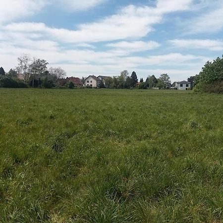 Stadtgruen 2 Берлин Экстерьер фото